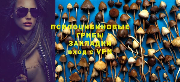 трава Гатчина