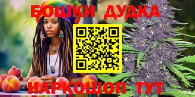 гашик Бийск