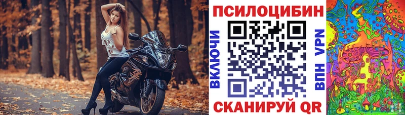 Галлюциногенные грибы Psilocybe  Алапаевск 