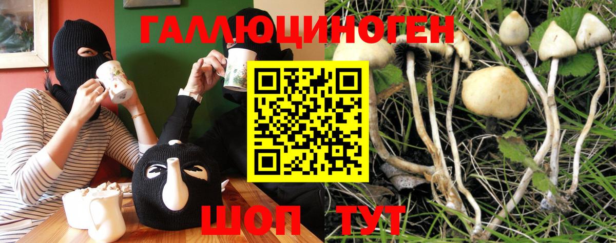 Галлюциногенные грибы Magic Shrooms  Вход с VPN  Алапаевск 
