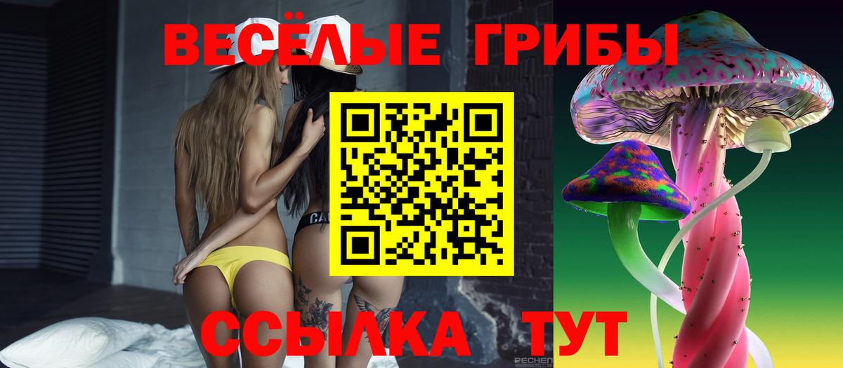 Псилоцибиновые грибы Cubensis Алапаевск