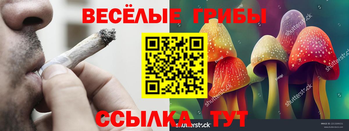 Псилоцибиновые грибы Cubensis Алапаевск